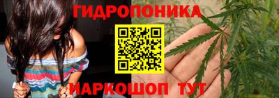 PSILOCYBIN Пенза