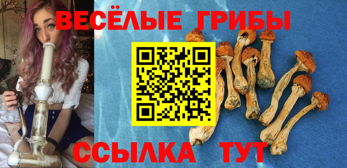 Псилоцибиновые грибы прущие грибы Отрадное