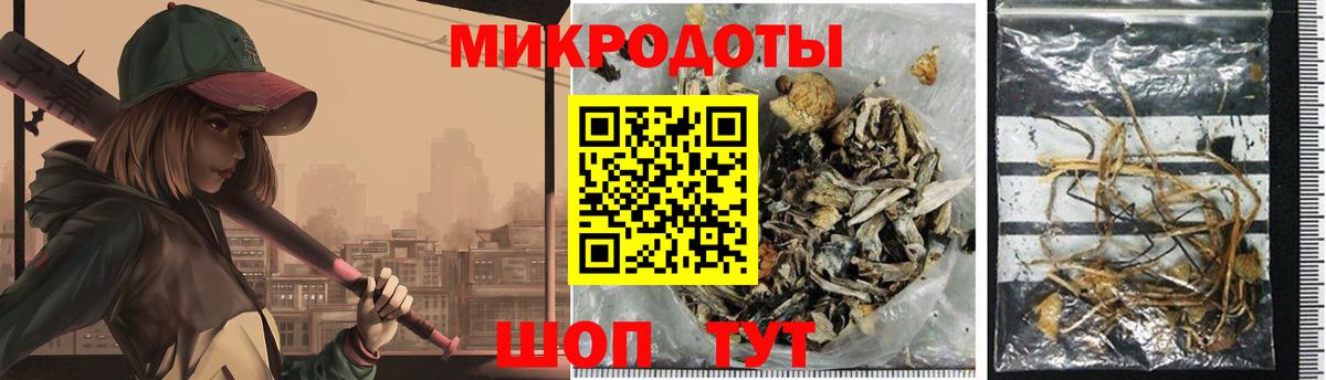 Псилоцибиновые грибы прущие грибы  купить наркотик  Отрадное  Вход с VPN 